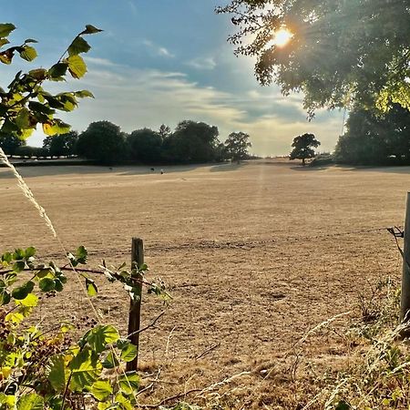 Arniss Farmhouse Fordingbridge Dış mekan fotoğraf