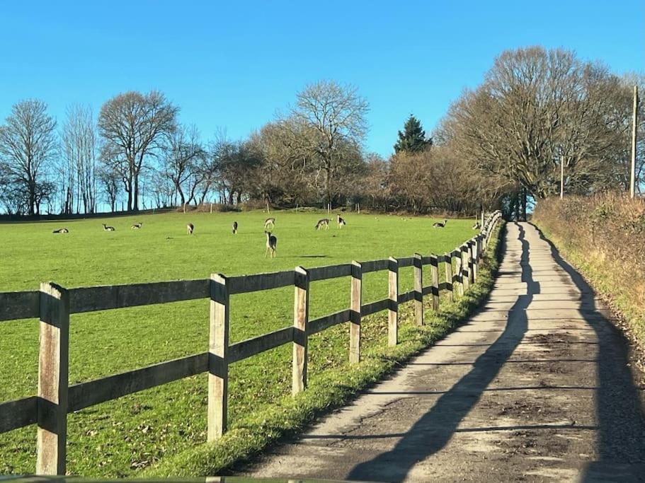 Arniss Farmhouse Fordingbridge Dış mekan fotoğraf