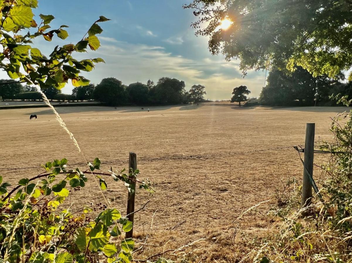 Arniss Farmhouse Fordingbridge Dış mekan fotoğraf